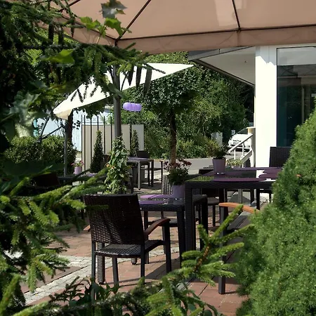 酒店 最佳早餐加斯提那酒店 3*